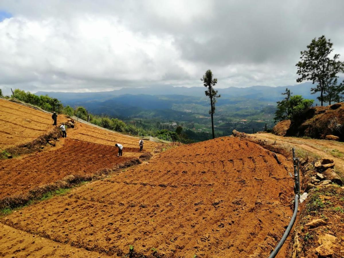 Unique View Nuwaraeliya Hotel Nuwara Eliya Ngoại thất bức ảnh