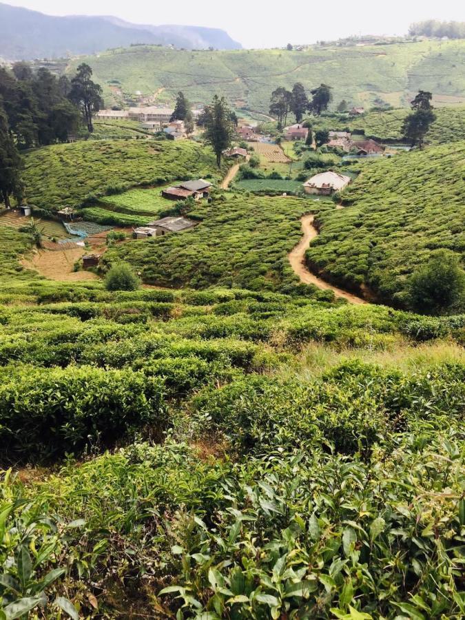 Unique View Nuwaraeliya Hotel Nuwara Eliya Ngoại thất bức ảnh